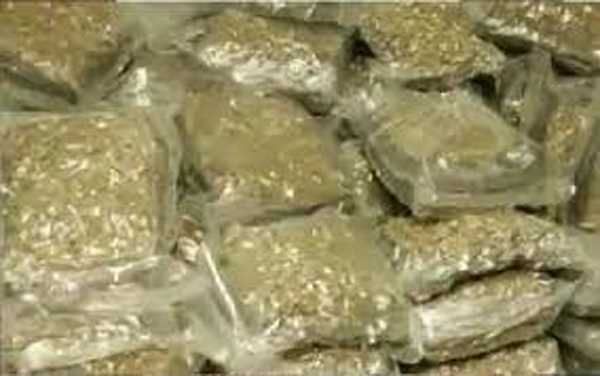 केरल में आबकारी विभाग ने किया 150 किलोग्राम गांजा जब्त